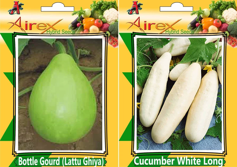 Airex Bottle Gourd (Lattu Ghiya) and Cucumber White Long Seed (Pack of 30 Seed Bottle Gourd (Lattu Ghiya) + 30 Seed Cucumber White Long) Seed Seed(60 per packet)