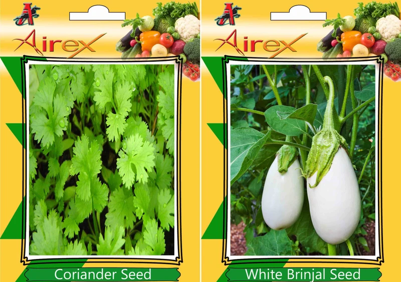 Airex Coriander and White Round Brinjal Vegetables Seed + Humic Acid Fertilizer (For Growth of All Plant and Better Responce) 15 gm Humic Acid + Pack Of 30 Seed Coriander + 30 White Round Brinjal Seed(30 per packet)