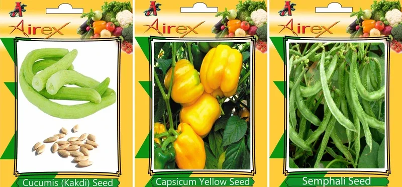 Airex Cucumis, Semphali and Capsicum Yellow Vegetables Seed (Pack Of 25 Seed Cucumis + 25 Semphali + 25 Capsicum Yellow Seed) Seed(25 per packet)