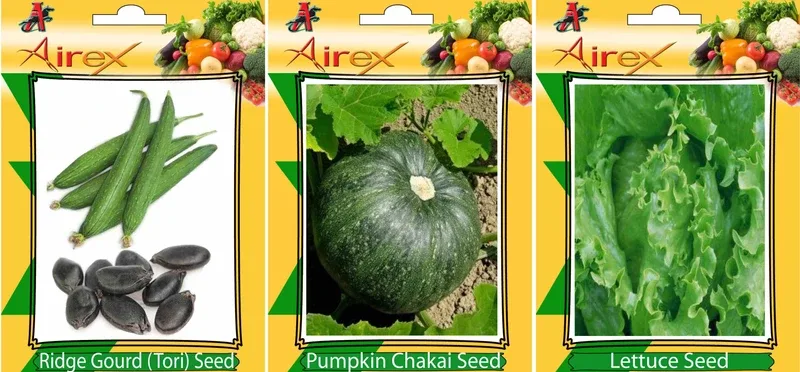 Airex Ridge Gourd, Pumpkin and Lettuce Vegetables Seed + Humic Acid Fertilizer (For Growth of All Plant and Better Responce) 15 gm Humic Acid +Pack Of 30 Seed Ridge Gourd + 30 Pumpkin + 30 Lettuce Seed Seed(30 per packet)