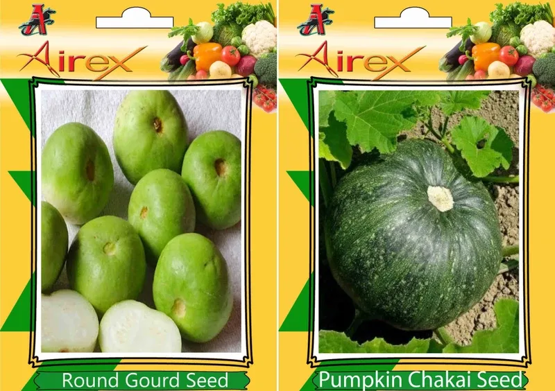 Airex Round Gourd and Pumpkin Vegetables Seed + Humic Acid Fertilizer (For Growth of All Plant and Better Responce) 15 gm Humic Acid + Pack Of 30 Seed Round Gourd + 30 Pumpkin Seed(30 per packet)
