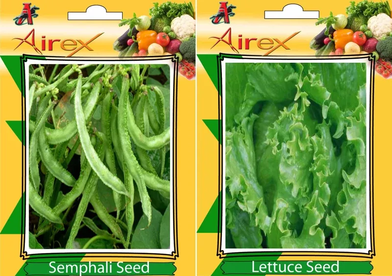 Airex Semphali and Lettuce Vegetables Seed (Pack Of 25 Seed * 2 Per Packet) Seed(25 per packet)