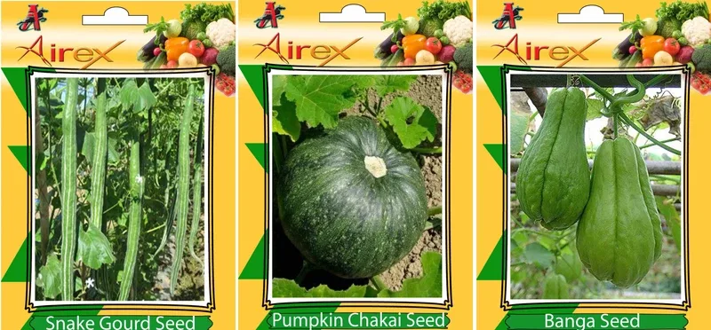 Airex Snake Gourd, Pumpkin, Banga Vegetables Seed (Pack Of 15 Seed Snake Gourd + 25 Pumpkin + 25 Banga Seed) Seed(25 per packet)