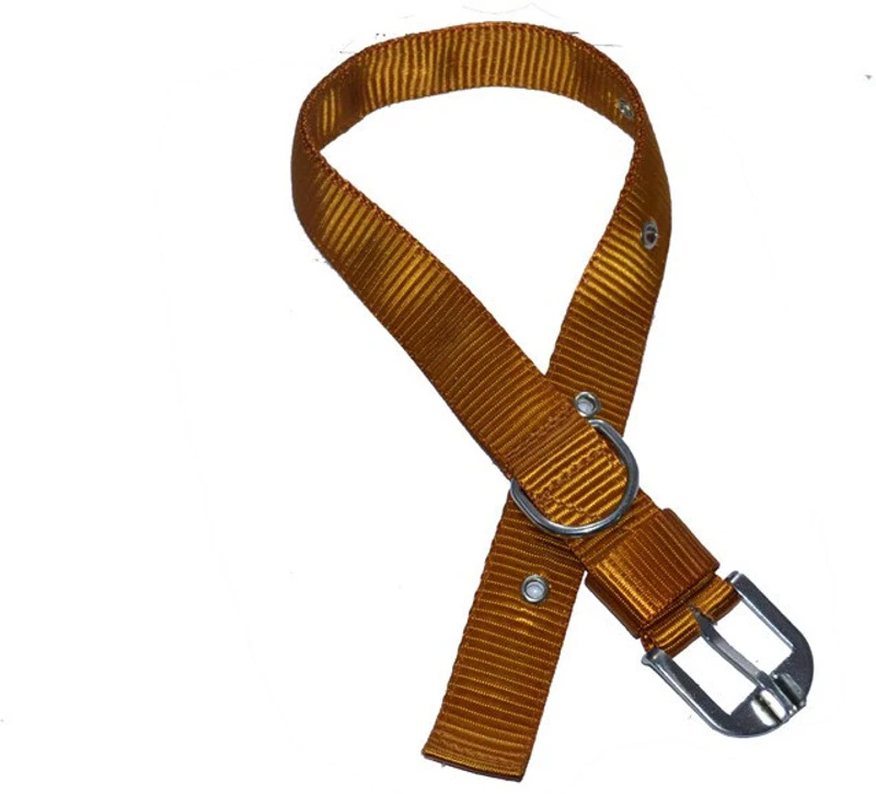 Bow! Wow !! Dog Everyday Collar(Medium, Golden Brown)