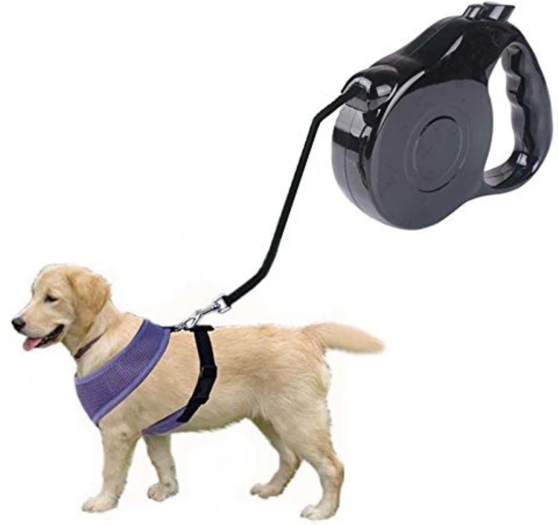 FUTABA Dog Collar & Chain(Large, Black)