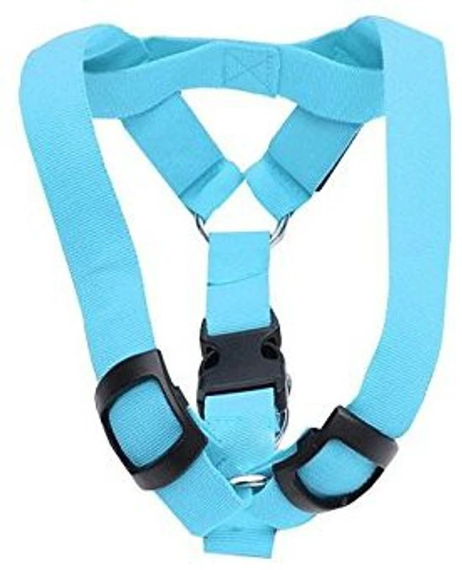 Futaba Dog Reflective and LED Harness(Small, Blue)
