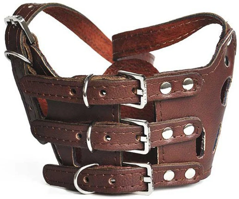Futaba Large Other Dog Muzzle(Brown)