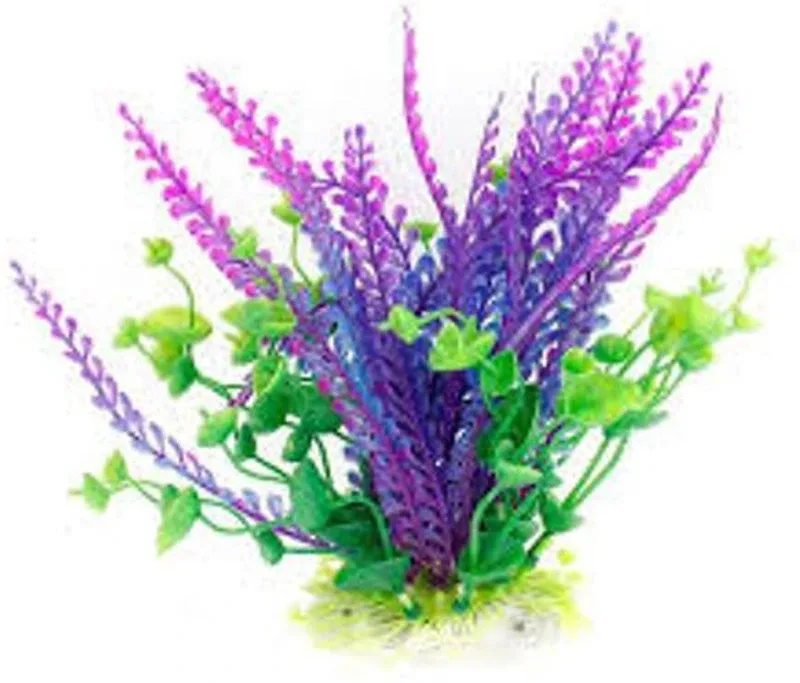 GREEN FARMS aquarium grass Seed(50 per packet)