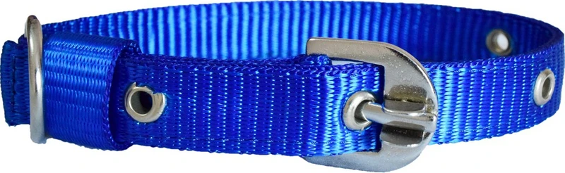 PAW ZONE Dog Anti-stress Collar(Large, Blue)