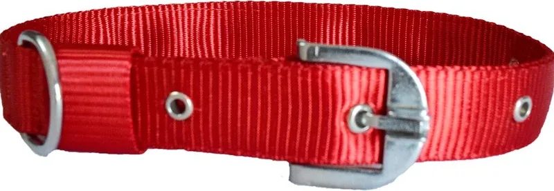 PAW ZONE Dog Anti-stress Collar(Medium, Red)