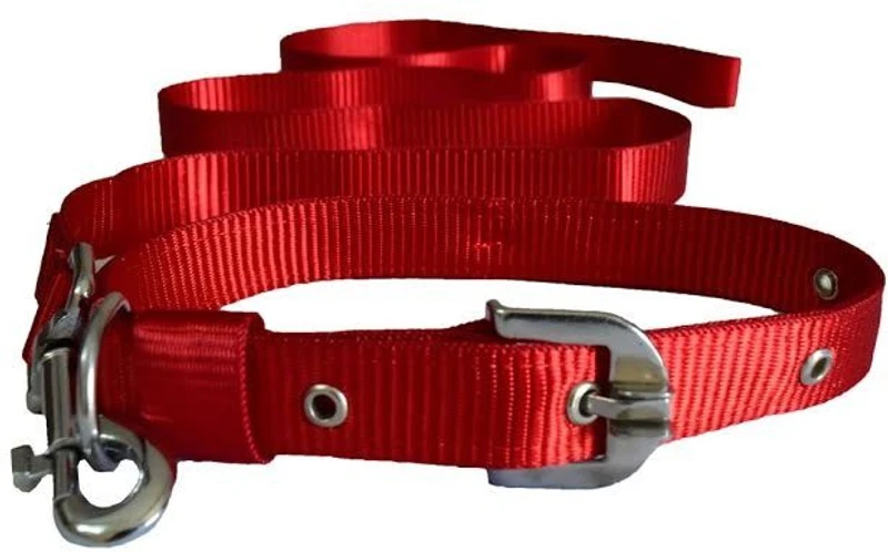 PAW ZONE Dog Collar & Leash(Extra Large, Red)