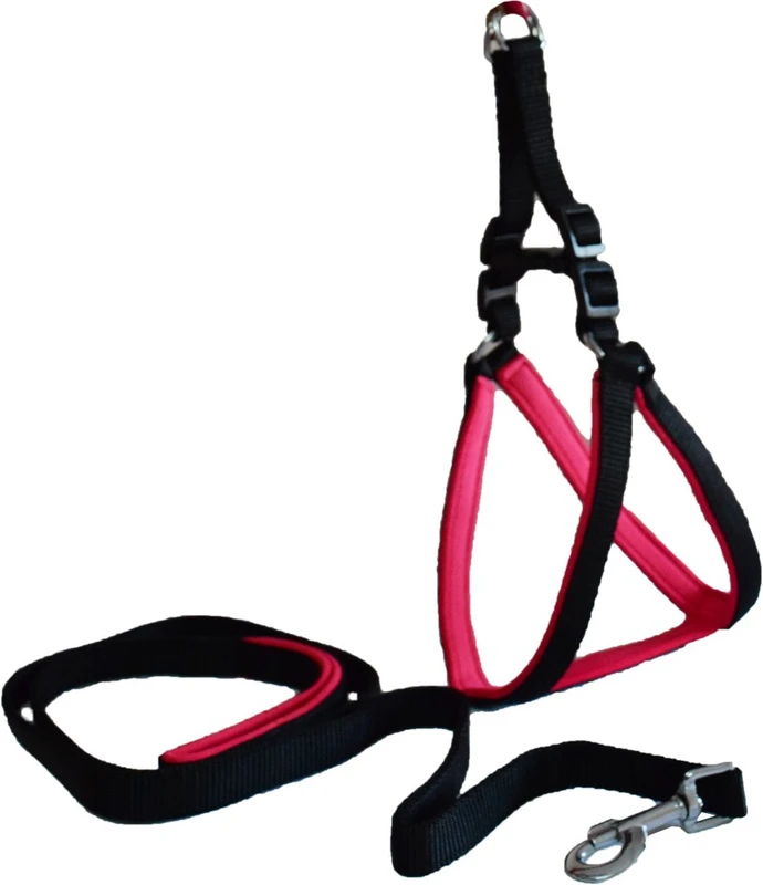 PAW ZONE Dog Harness & Leash(Medium, Pink)