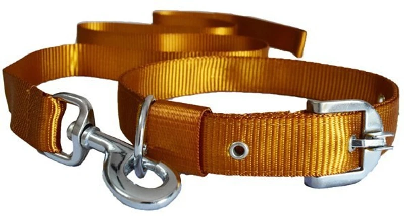 Pethub Dog Collar & Leash(Large, Brown)