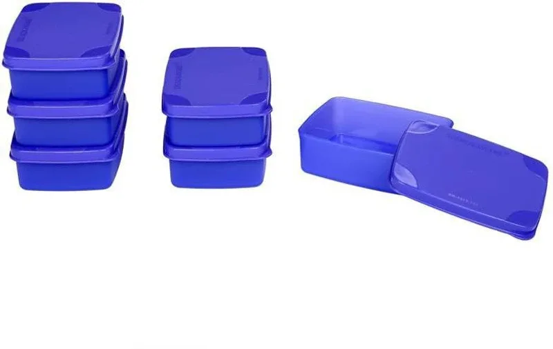 Signoraware Plastic Grocery Container  - 150 ml(Pack of 6, Purple)