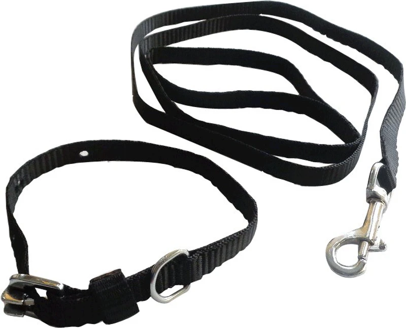 Suraj Chains Dog Collar & Leash(Extra Small, Black)