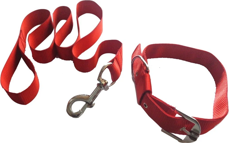 Suraj Chains Dog Collar & Leash(Extra Small, Red)