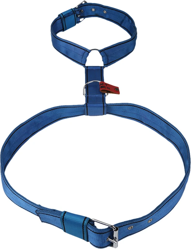 TommyChew Regular Dog Safety Harness(Large, Blue)