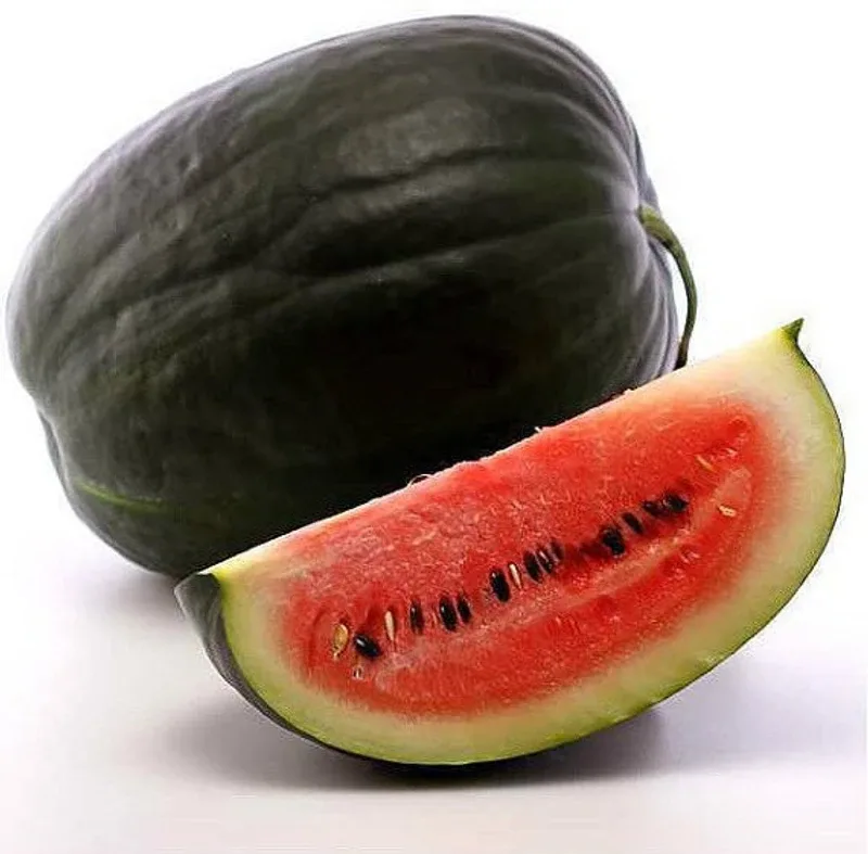 Variety House Watermelon Seeds - BLACK DIAMOND - Heirloom, Gmo Free, Heat Tolerant - 10 Fruit Seed(10 per packet)
